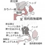 04576