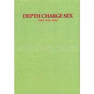 SEX中出し教本
