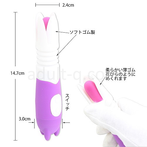 アイリス パープル サイズ