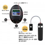 飛っ子アクセス ver.1　操作詳細