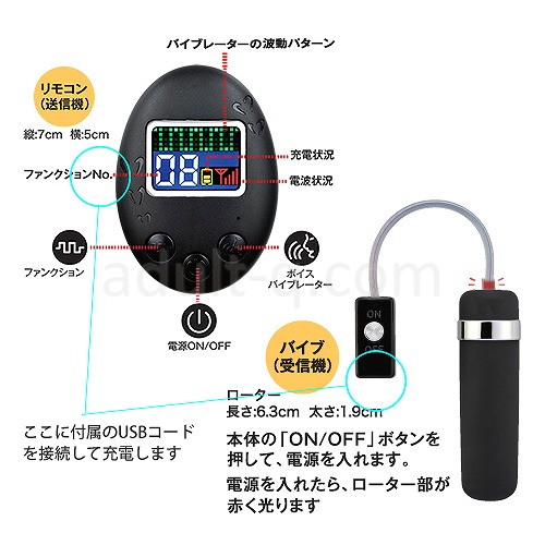 飛っ子アクセス ver.2 操作詳細
