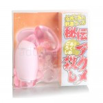 秘伝シリーズ アクメ殺し ピンク パッケージ