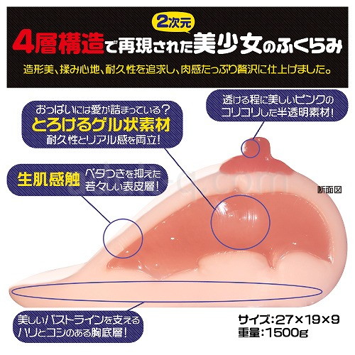 姉おっぱい 2.5次元 内部構造