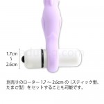アナティック　パープル　別売りのローターをセット可能