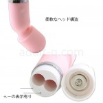 ハイパーデンマ 電池ボックス