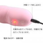 スイートリップル 充電式&操作