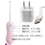 狂喜狂乱舞(きょうききょうらんぶ)　コントローラー＆USB充電器付き