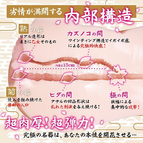 ぐちょ濡れ名器 極〜KIWAMI〜 内部構造詳細