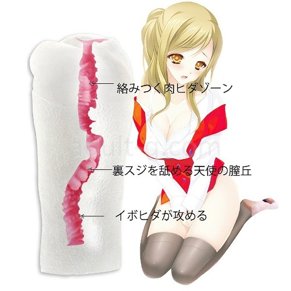 肉厚と膣圧 金の萌天 ハード 内部構造
