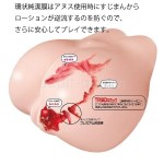 純潔 プレミア　内部構造