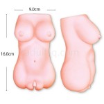 実にけしからん　おっぱいボディ　サイズ