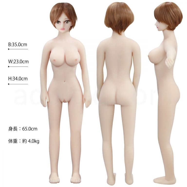ぷちドール 65cm ヘッドB サイズ等