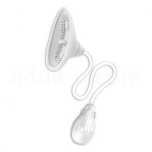 プリティラブ　パッショネイトラヴァー