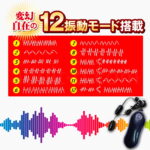 メンズローターヘッドエアW 12振動モード