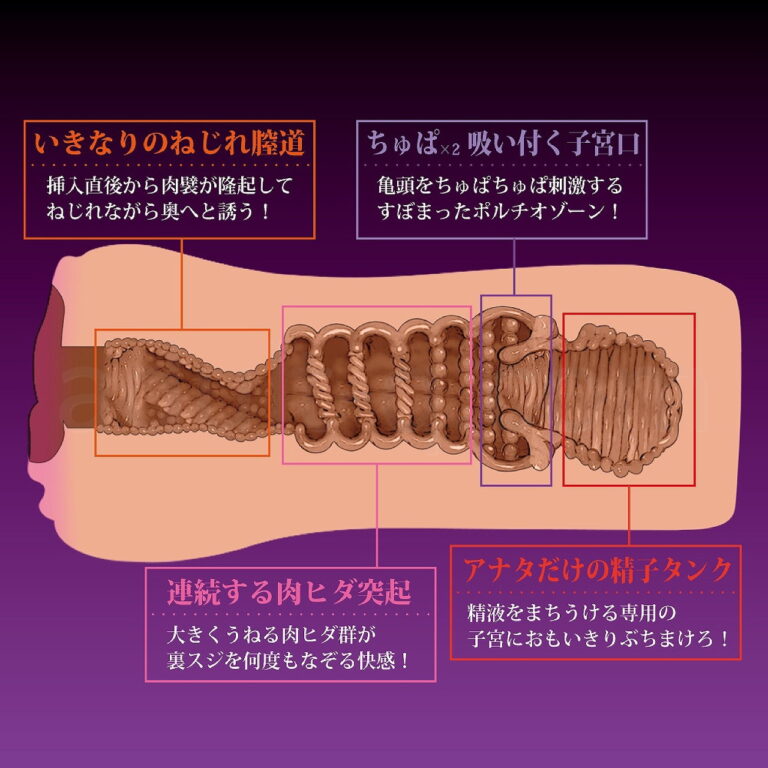 お隣の淫乱奥さまは俺の肉便器　内部構造
