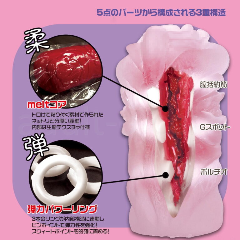 欲情ギミック 覚醒 トロまんSoftエディション　内部構造