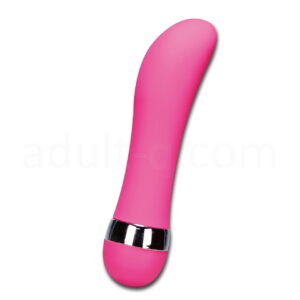 ベイビースティック ポインター