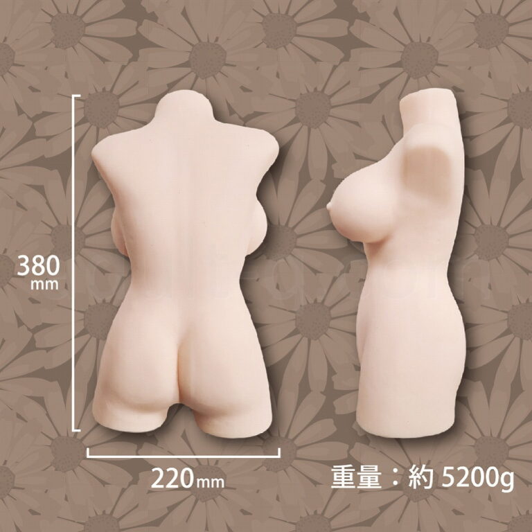 日本品質 大型ホール 「明日花~アスカ~」 サイズ