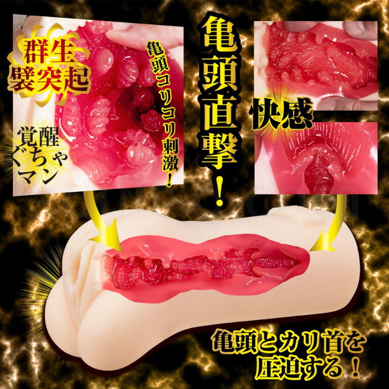 名器覚醒 相沢みなみ 内部構造