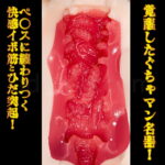 名器覚醒 相沢みなみ 内部構造