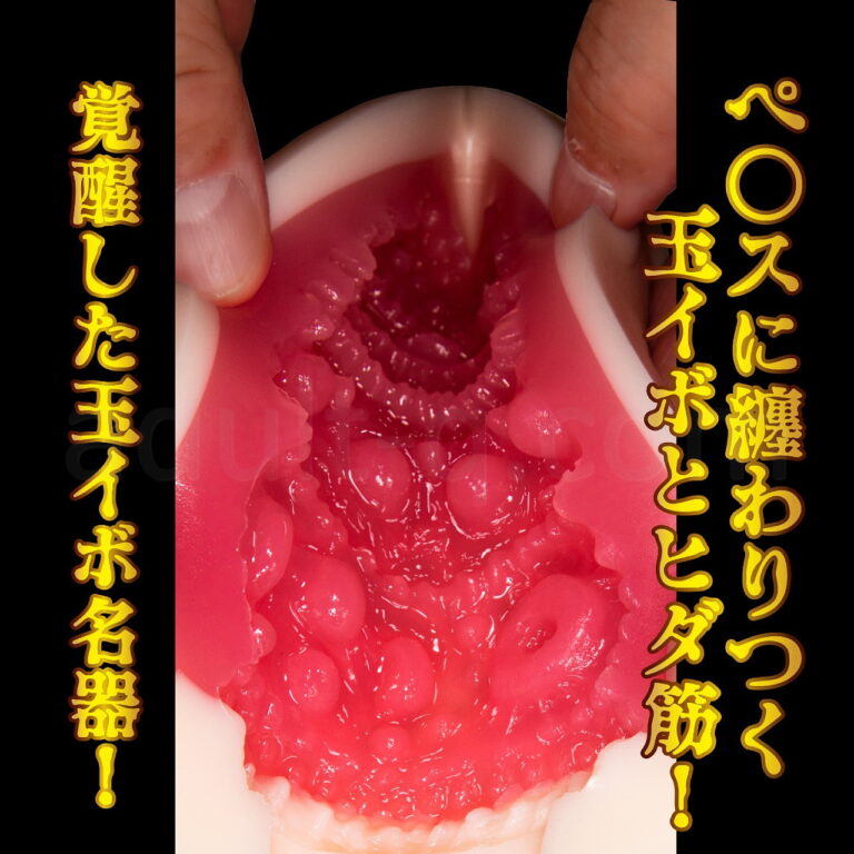 名器覚醒 深田えいみ　内部構造