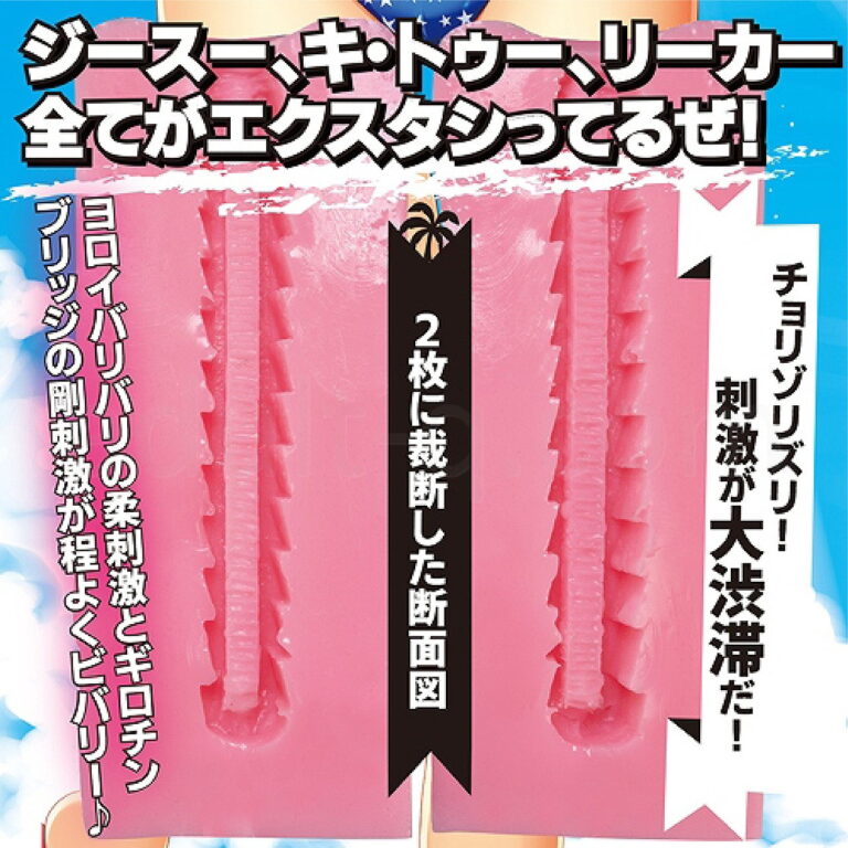 ヨロイ張りバリ！カリフォルニアスタイル　内部構造２