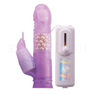 極楽往生　パール入り