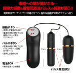 プリティラブ エレクトリックショックパルスダブルローター　サイズ＆操作