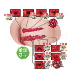 2穴 極上生腰 美谷朱里　内部構造