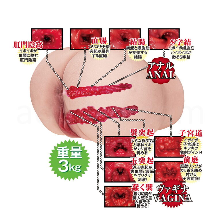 2穴 極上生腰 美谷朱里　内部構造