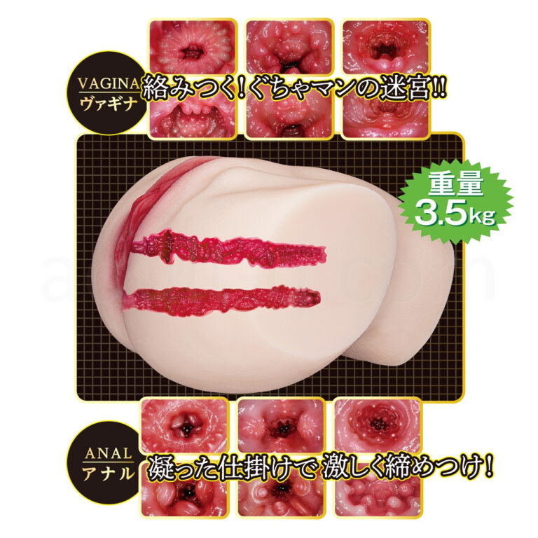 真リアル2穴素股 葵つかさ　内部構造