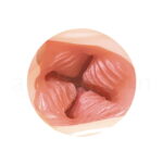 TAMAPREMIUM HG 01 高刺激!