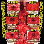 新・名器の証明 ファイルNo.002 美谷朱里　内部構造