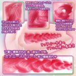 オネスティ・オナスト　内部構造