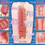 紅撃圧感 フィヨルドスタンピード　内部構造