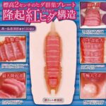 紅撃圧感 フィヨルドスタンピード　内部構造
