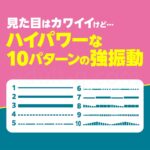 クイックファスト360　10パターンの強振動