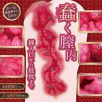 ひめはじめ　蠢く膣内