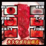 放課後ロストヴァージン　内部構造