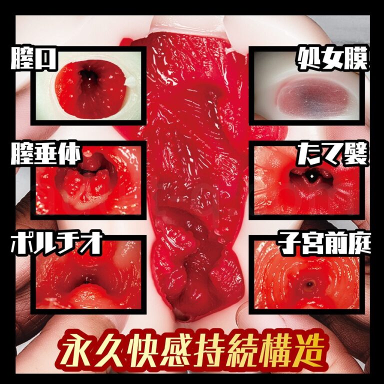 放課後ロストヴァージン　内部構造