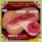 Cecile【岸和田セシル】　内部構造
