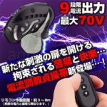 PREMIUM E-STIM CHASTITY CAGE 電流調教貞操帯