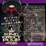KING ERECT PUMP BASIC 使い方