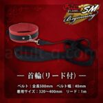 激感フレイム SMビギニング 首輪