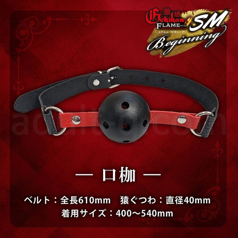 激感フレイム SMビギニング 口枷