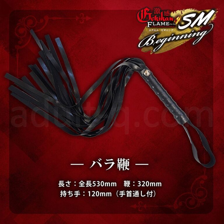 激感フレイム SMビギニング バラ鞭