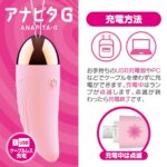 アナピタG 充電方法