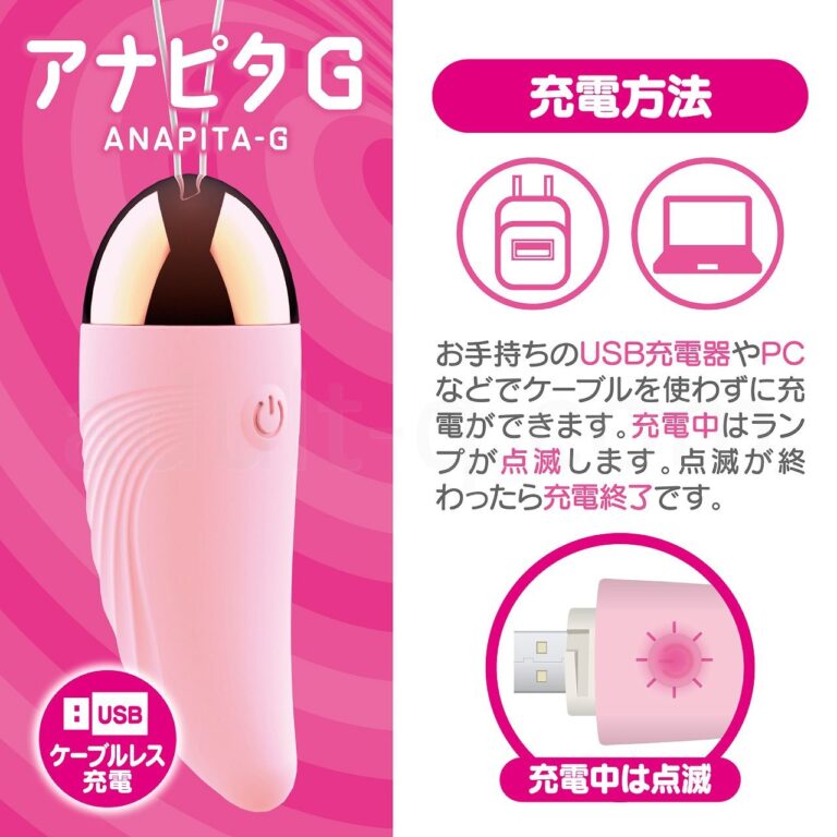 アナピタG 充電方法