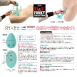 D&Fファンキーコレクション DF-10 操作&充電&お手入れ