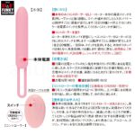 Ｄ＆Ｆファンキーコレクション DF-11　操作＆充電＆お手入れ